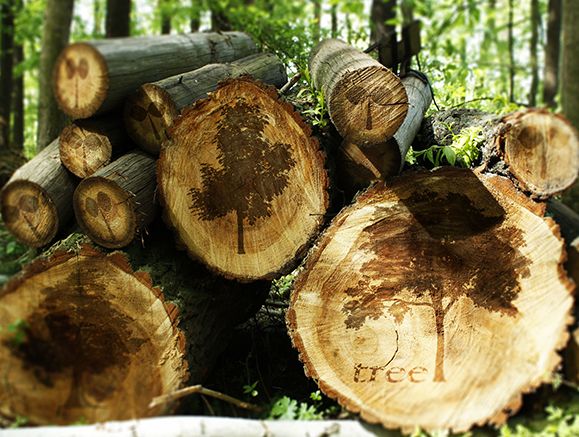 什么叫刨花板？